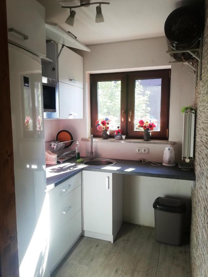 Pokoje Goscinne U Babuni Bukowina Tatrzańska Dış mekan fotoğraf